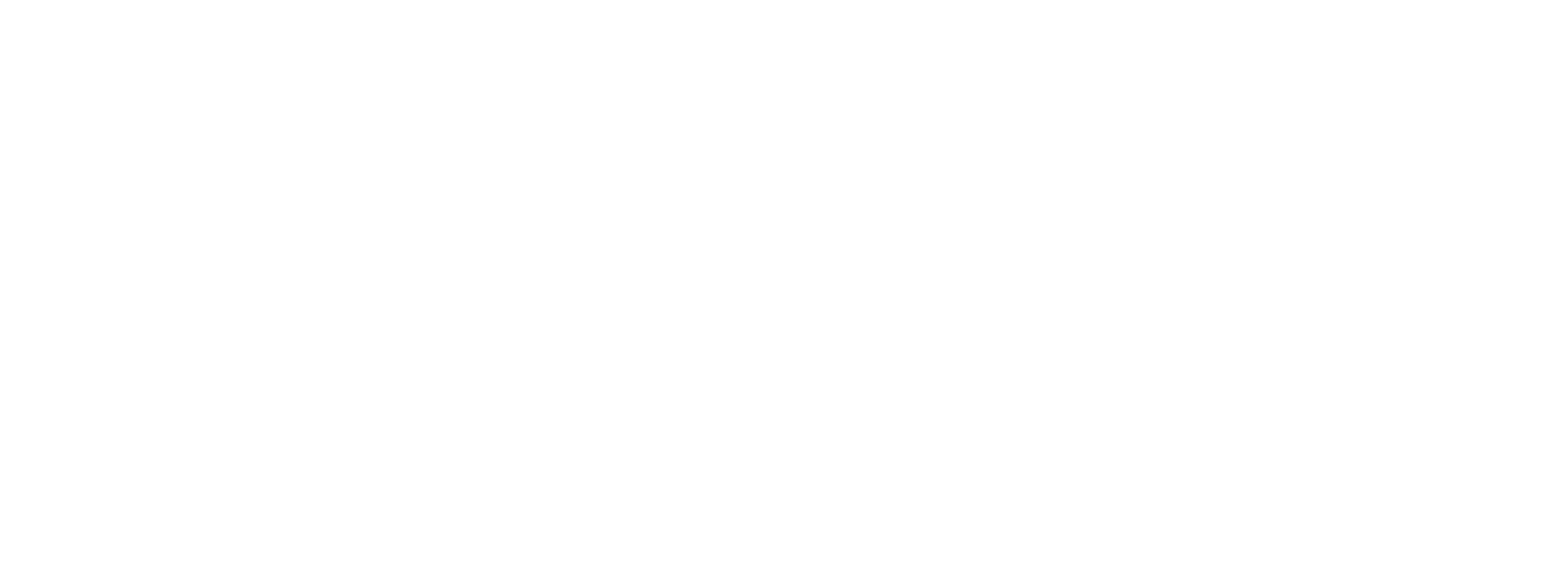 Save Idaho PAC